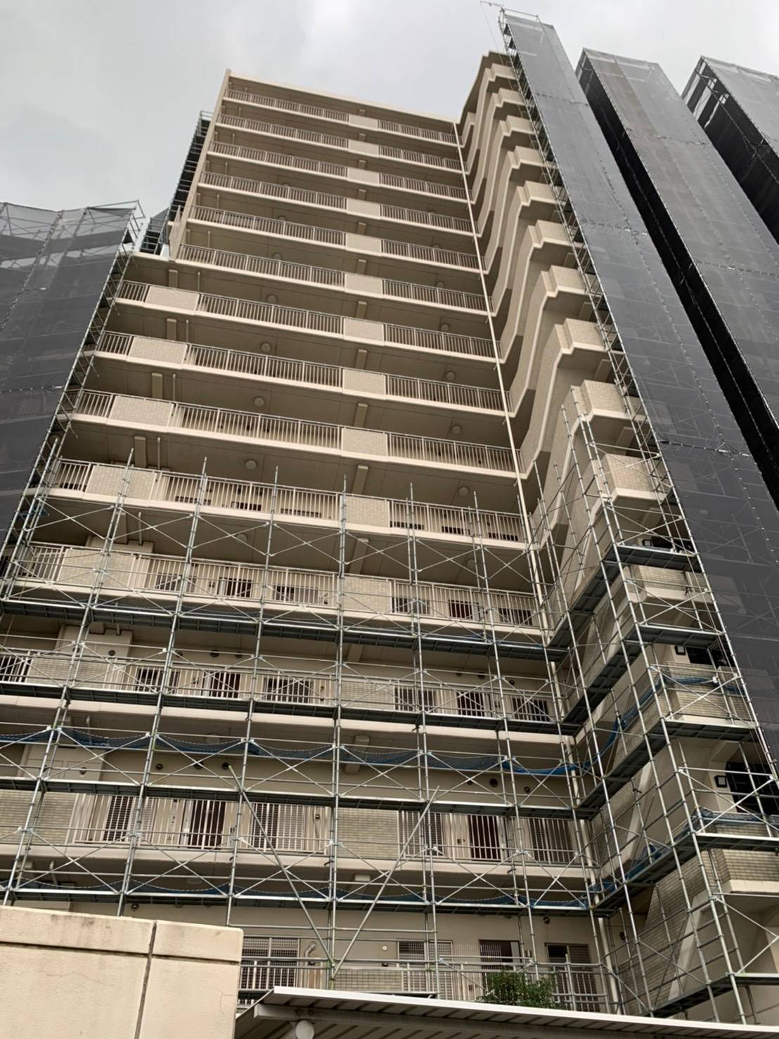 <span  class="uc_style_uc_tiles_grid_image_elementor_uc_items_attribute_title" style="color:#ffffff;">36827</span>