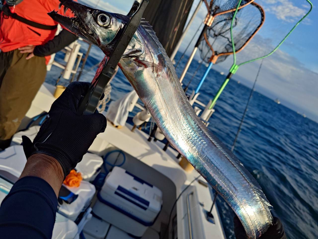 <span  class="uc_style_uc_tiles_grid_image_elementor_uc_items_attribute_title" style="color:#ffffff;">247297_0</span>